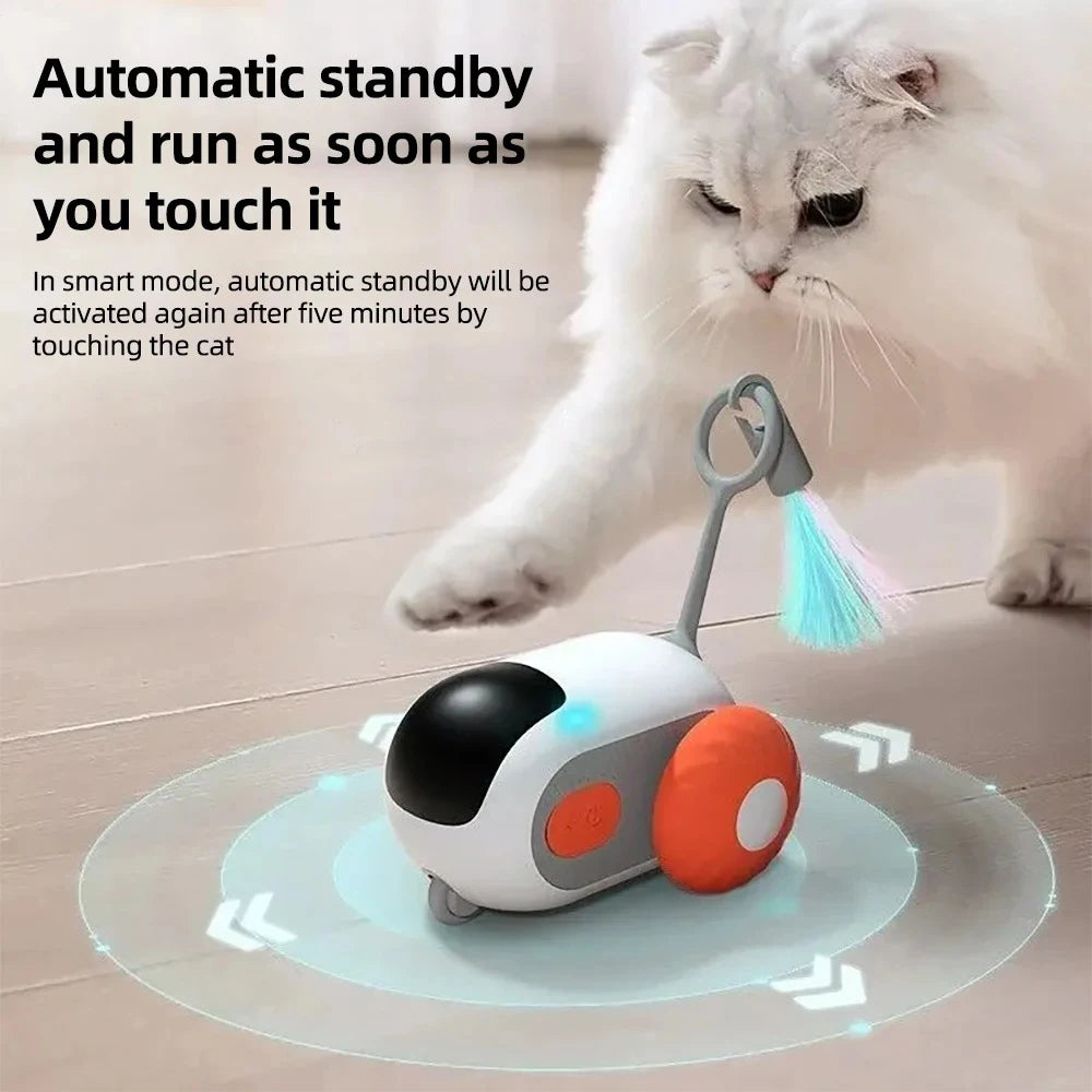 CatChase Pro